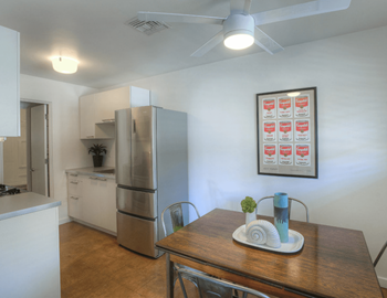 Ceiling fan